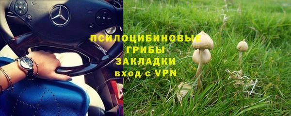 PSILOCYBIN Белоозёрский