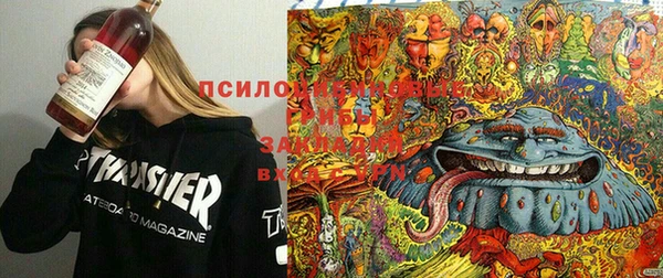 индика Баксан