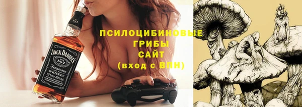 дурь Белокуриха