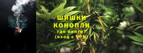 индика Баксан