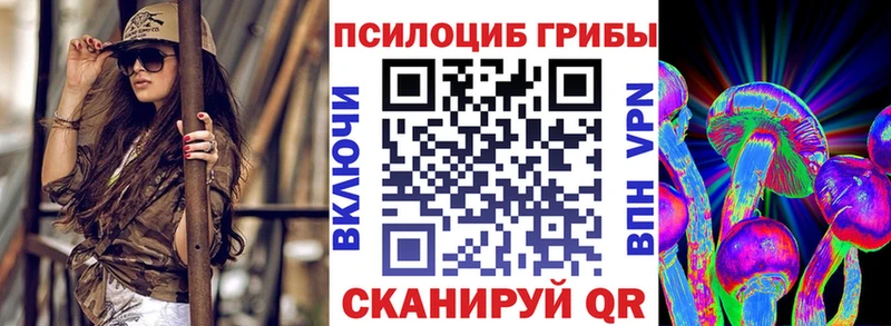 Галлюциногенные грибы Cubensis  shop наркотические препараты  Шагонар  kraken зеркало 